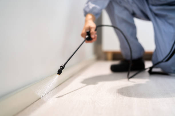 Professional exterminator conducting IPM assessment in Nora Springs